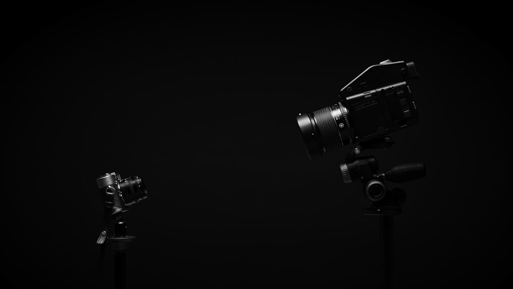 Camera bodies arranged as a key visual